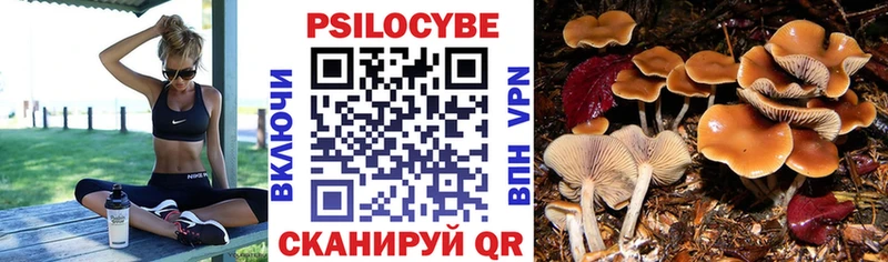 купить закладку  Бавлы  Галлюциногенные грибы GOLDEN TEACHER 